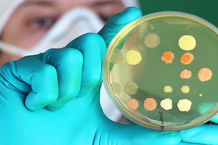 BABIO গ্লোবাল ক্লিনিকাল এবং ল্যাব মাইক্রোবায়োলজির জন্য প্রিমিয়াম ট্রিপ্টিকেস সয়া ব্রোথ (TSB) চালু করেছে