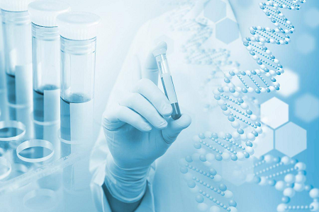 আগর মিডিয়াম বি (ক্যাসিন সয়া বিন ডাইজেস্ট আগর)- মাইক্রোবিয়াল সংস্কৃতির জন্য একটি নির্ভরযোগ্য পছন্দ